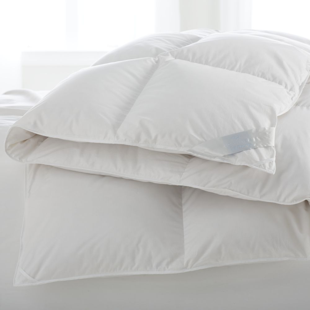 Scandia Home Salzburg Down Comforters. Polish Goose Down - J Brulee